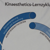 Kinaesthetics-Lernzyklus, Stoffdruck, deutsch Bild anzeigen