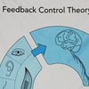 Feedback Control Theory, Stoffdruck Kinästhetik-Shop