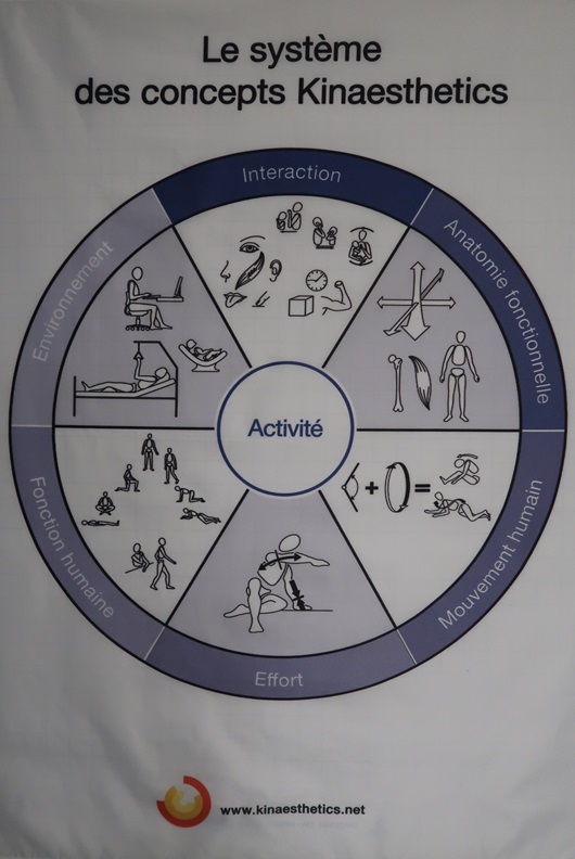 Kinaesthetics-Konzeptsystem, Stoffdruck, französisch Bild anzeigen